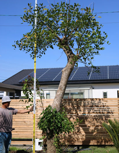 商品サムネイル画像