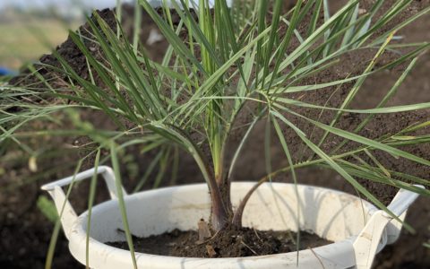 記事サムネイル画像