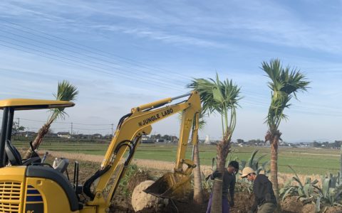 記事サムネイル画像