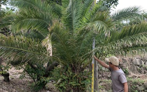 記事サムネイル画像