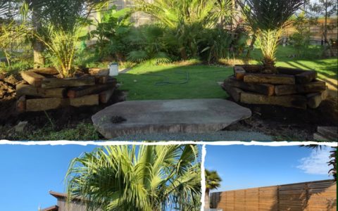 記事サムネイル画像