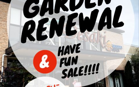 記事サムネイル画像