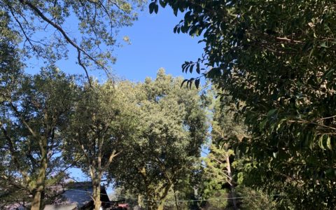 記事サムネイル画像