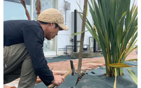 記事サムネイル画像
