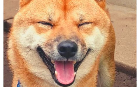 記事サムネイル画像