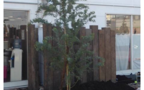 記事サムネイル画像