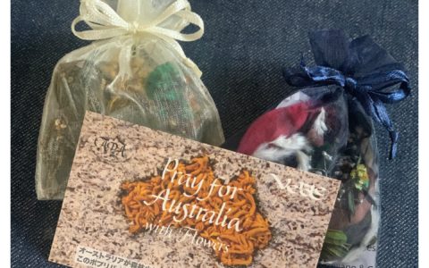 記事サムネイル画像