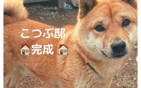 記事サムネイル画像