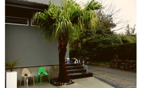 記事サムネイル画像