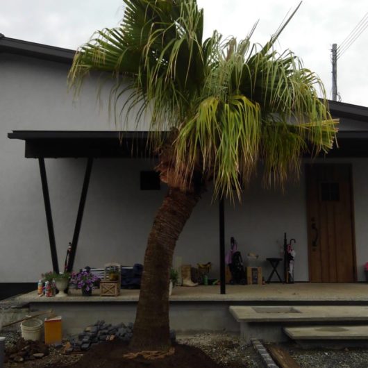 施工事例のサムネイル画像