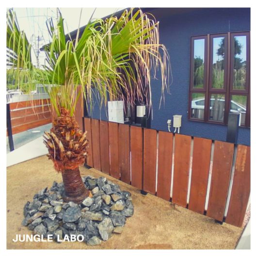 施工事例のサムネイル画像