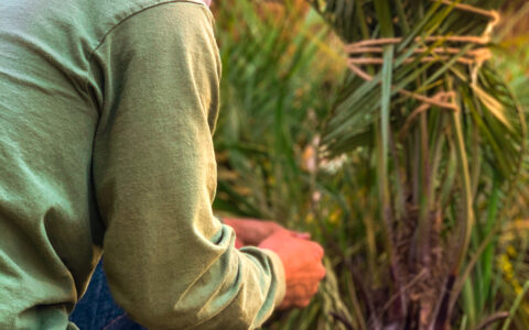 記事サムネイル画像