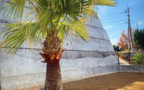 記事サムネイル画像