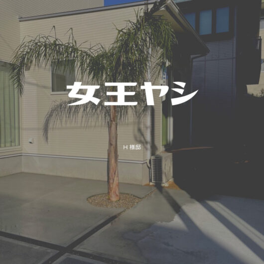 施工事例のサムネイル画像