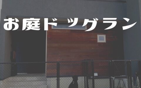 記事サムネイル画像