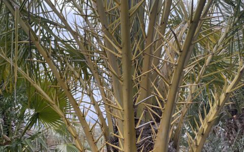 記事サムネイル画像