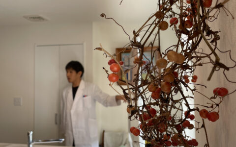 記事サムネイル画像