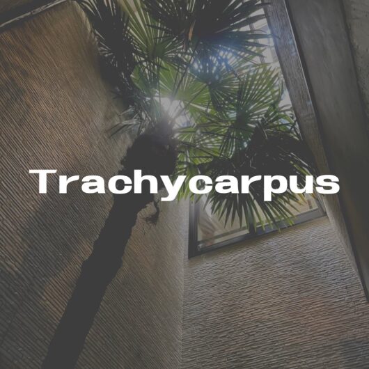 施工事例のサムネイル画像