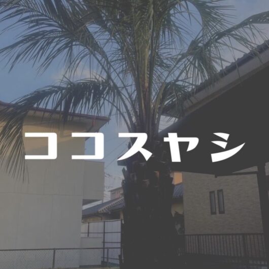施工事例のサムネイル画像