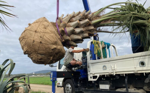 記事サムネイル画像