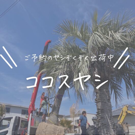 施工事例のサムネイル画像
