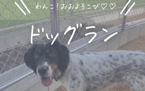 記事サムネイル画像