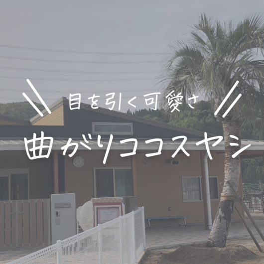 施工事例のサムネイル画像