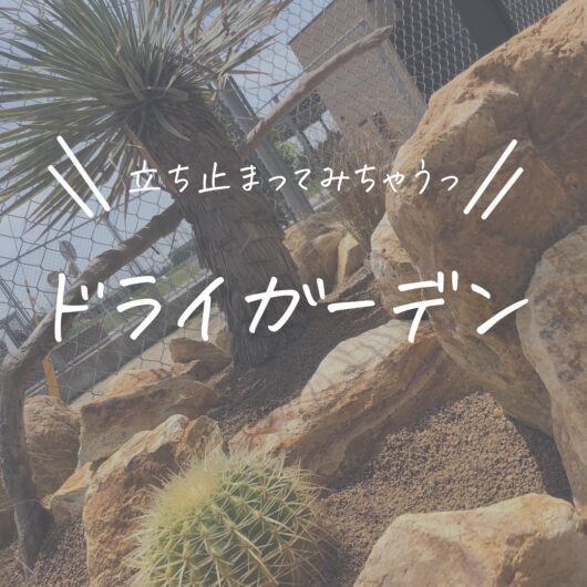 施工事例のサムネイル画像