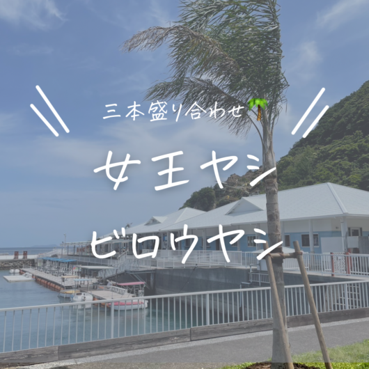 施工事例のサムネイル画像