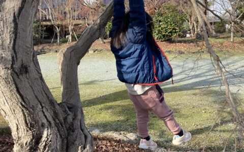 記事サムネイル画像