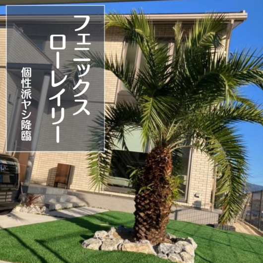 施工事例のサムネイル画像