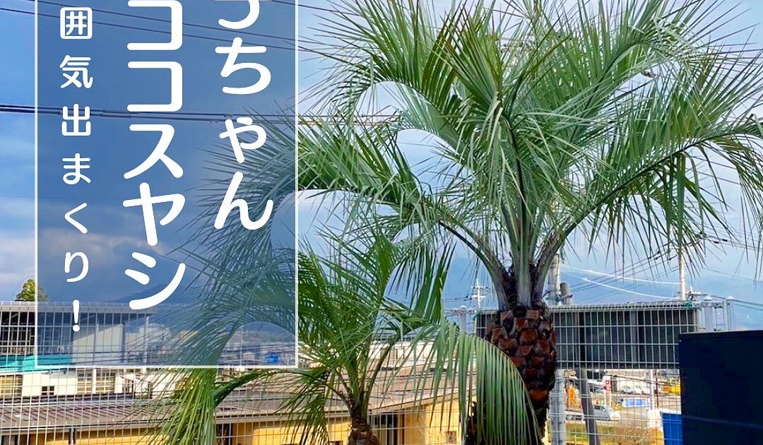 779ACB74-745D-4D70-A228-