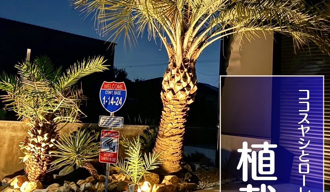 253A8C18-8587-430C-8443-