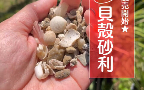 記事サムネイル画像