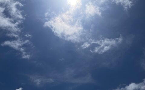 記事サムネイル画像